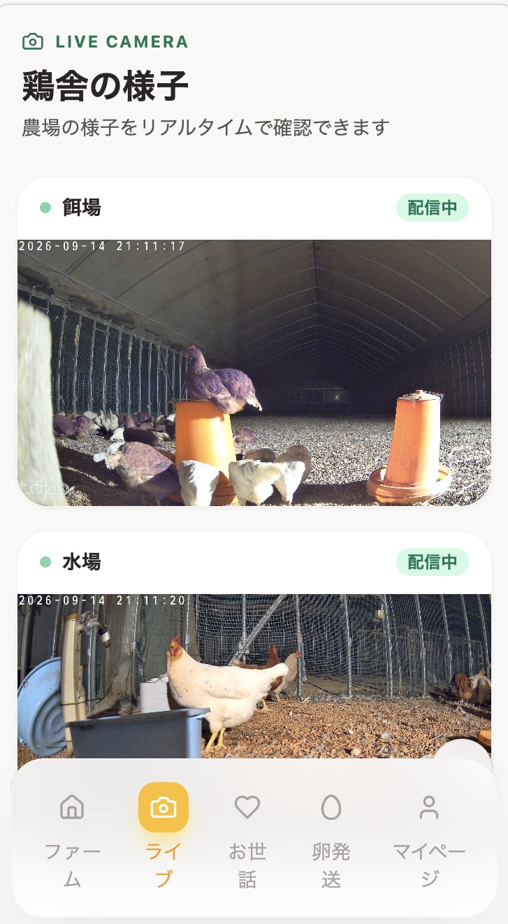 Rickockアプリで鶏舎をライブ視聴している画面
